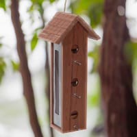 Hängande fågelmatare i träd