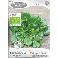 Frö till Kål, Brassica rapa 'Tatsoi', asiatisk, ekologisk