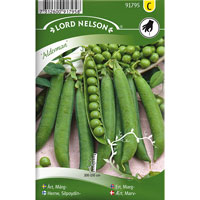 Frö till Märgärt, Pisum sativum 'Alderman'