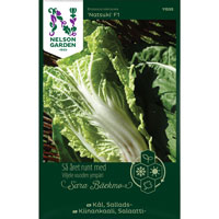 Frö till Salladskål, Brassica oleracea 'Natsuki' F1