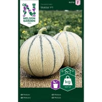Frö till Melon, Cucumis melo 'Stellio' F1