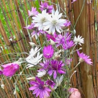 Bukett av papperblomster