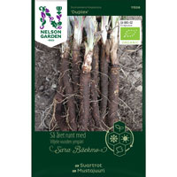 Frö till Svartrot 'Duplex', organic