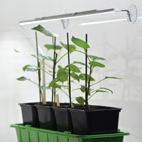 Hängare med sugproppar