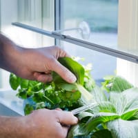 Växtlampa LED-ramp no.2, 85 cm 23W från Nelson Garden