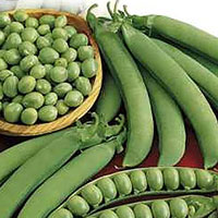 Frö till Ärta - Meteor