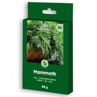 Dill 'Mammoth', storpack