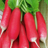 Rädisa 'De Dix-Huit Jours', storpack