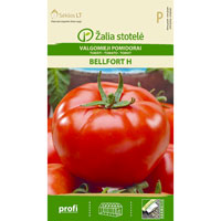 Fröer till Tomat, Solanum lycopersicum L. ’Bellfort’ F1