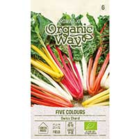 Mangold 'Five Colours'