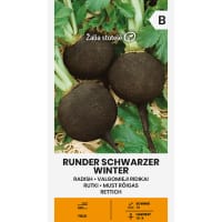 Rättika Runder Schwarzer winter