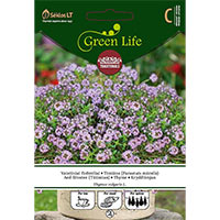 Plantetiketter i trä | Wexthuset