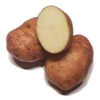 Early Rose, sättpotatis