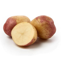 Sättpotatis till King Edward