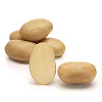 Sättpotatis till potatis 7 four 7