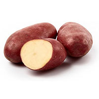 Sättpotatis till tidig potatis Cherie