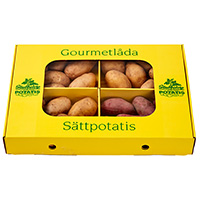 Gourmetlåda med utvald sättpotatis
