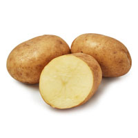 Sättpotatis till tidig sort Maria