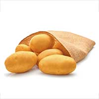 Sättpotatis till potatis Octa - snitt