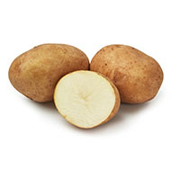 Sättpotatis till sort Rocket