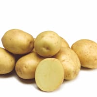 Twister, sättpotatis