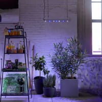 Quattro - Växtbelysning för övervintring, odling och inomhusodling