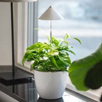 SunLite växtlampa i krukväxt vid fönster