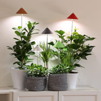SunLite växtlampa för inomhusodling