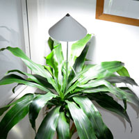 Sunlite växtlampa XL till stora krukväxter