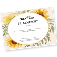 Presentkort värde 100 kr