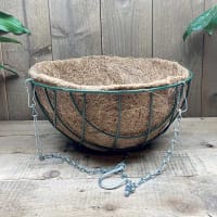 Ampel med kokosinlägg