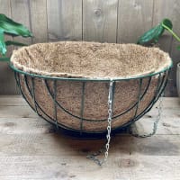 Ampel med kokosinlägg