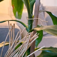 Bindtråd natur 25-pack