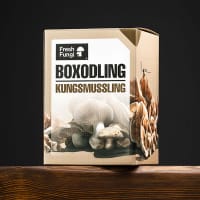 Svampodlingskit / boxodling av kungsmussling.