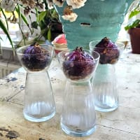 Hyacintvas med vintagedekor