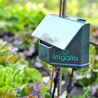 Irrigatia solcellsdriven bevattning i köksträdgård