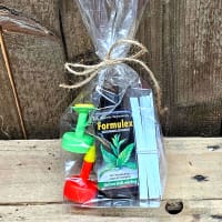 Wexthusets miniodlarpaket