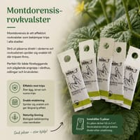 Montdorensis-rovkvalster