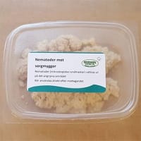 Förpackning Nematoder mot sorgmyggor