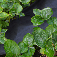 Ogräsduk för skydd mot ogräs