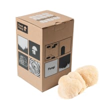 Stockodlingskit, Lions Mane