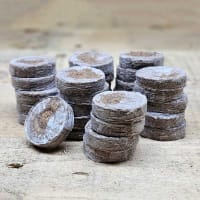 Små torvbriketter för plantering av fröer och sticklingar.