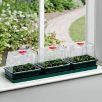 Minidrivhus Trio med självvattnande fönsterbricka