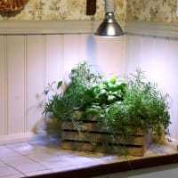 Primula Nova Grow LED 16 W, silver