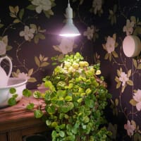 Primula Nova Indoor LED 16 W, vit