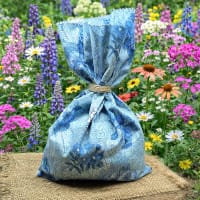 Illustrationsbild av paket med blomfröer