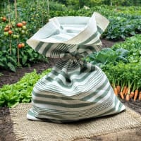 Illustrationsbild av grönsaksfröpaketet