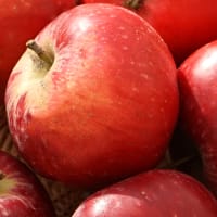 Ympris äpple 'Rosenhäger'