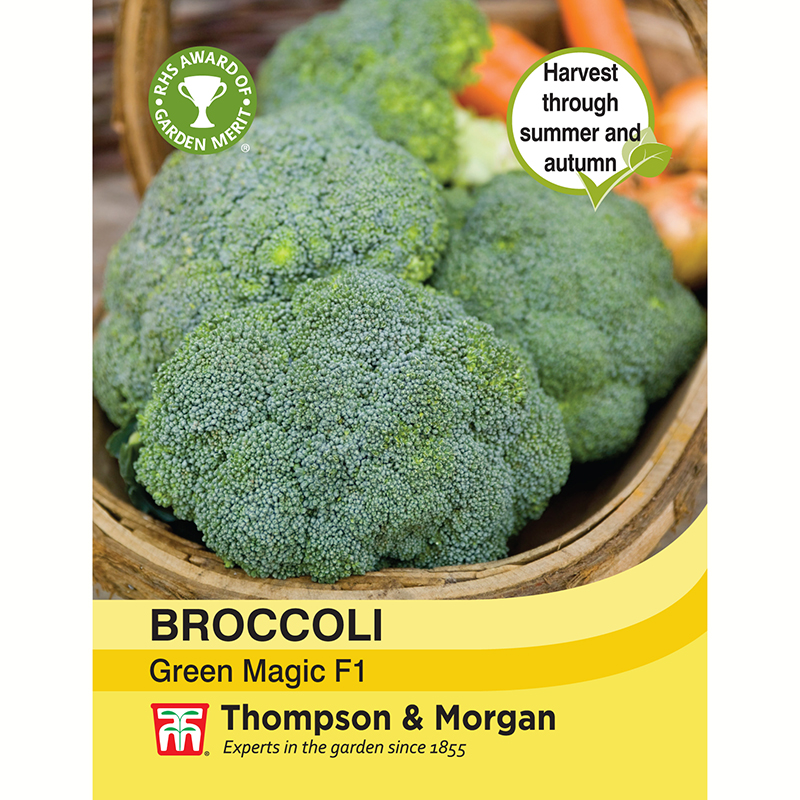 Broccoli 'Green Magic' F1