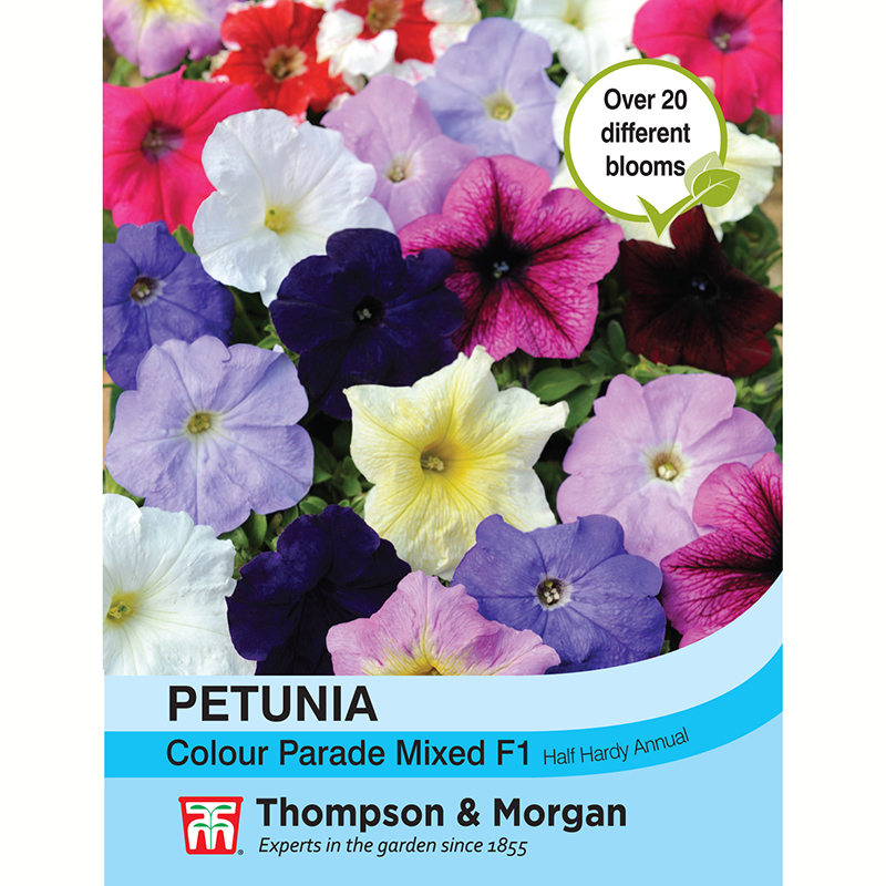 Petunia 'Colour Parade Mixed' F1